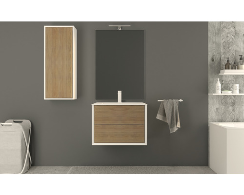 Salle de bains moderne avec meuble sous-lavabo, armoire de toilette et armoire haute