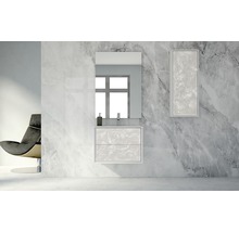 Meuble sous-vasque Baden Haus Bellagio couleur de façade gris brillant 70 x 51 x 46 cm
