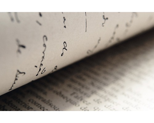 Nahaufnahme einer Buchseite mit handgeschriebenen Notizen