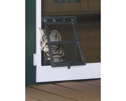 Spannrahmen Katzenklappe für Haustiere wie Katze oder kleine Hunde für Windhager Insektenschutztür PLUS und Windhager Insektenschutztür EXPERT 200x250 mm schwarz Katze blickt durch eine Katzenklappe in einer Tür.