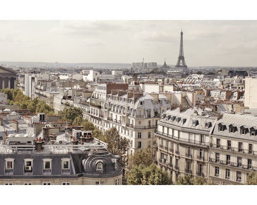 Panorama de Paris avec des immeubles d''habitation et la Tour Eiffel
