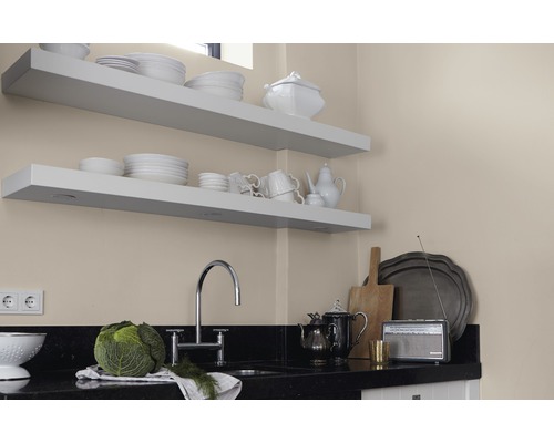 Cuisine claire avec étagères, vaisselle et plan de travail