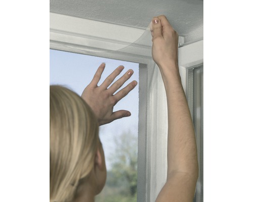 Une personne fixe une moustiquaire à une fenêtre