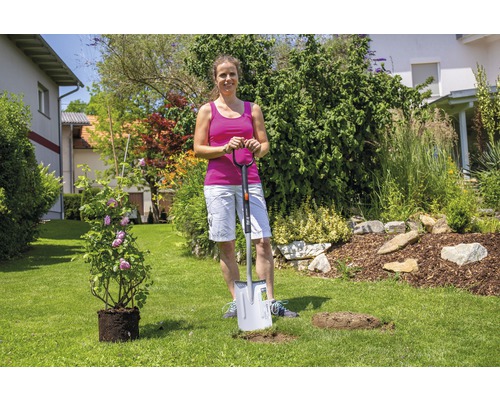 Une femme plante une rose avec une bêche dans un jardin