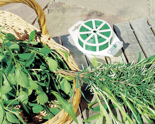 Attache de plantes et panier avec des herbes fraîches sur une table en bois