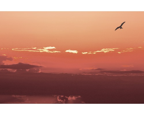 Himmel mit Wolken und einem fliegenden Vogel