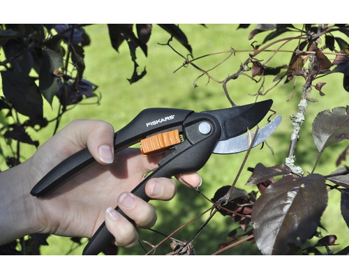 Eine Hand schneidet einen Zweig mit einer Gartenschere der Marke Fiskars