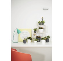 Cache-pot elho Brussels en plastique Ø 10,5 h 10 cm anthracite