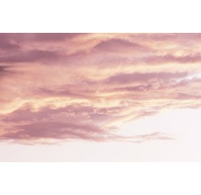 Alpina Feine Farben konservierungsmittelfrei Wolken in Rosé 2,5 L-thumb-3
