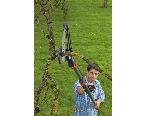 Un homme utilise une ébrancheuse avec manche pour couper une branche d''arbre.