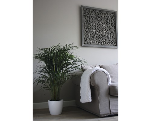 Wohnzimmer mit Zimmerpflanze, Couch und Wandschmuck