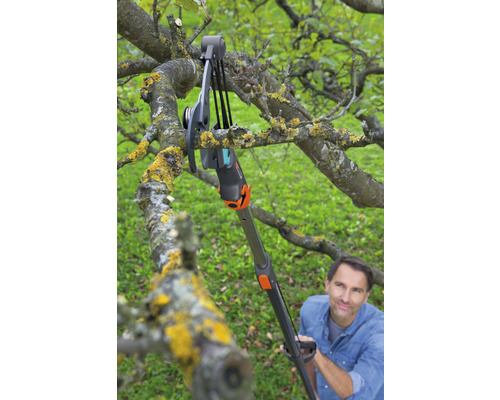 Une personne utilise un ébrancheur avec manche télescopique pour couper une branche.