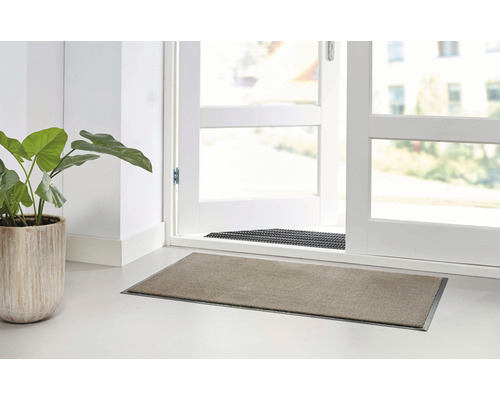 Paillasson devant une porte avec une plante en pot