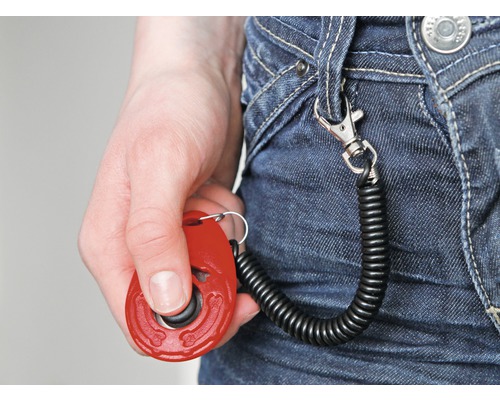 Compteur manuel avec câble spiralé et mousqueton