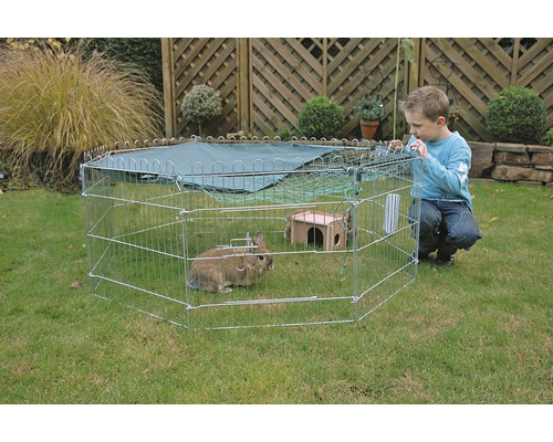 Un garçon regarde un enclos extérieur avec des lapins dans le jardin.
