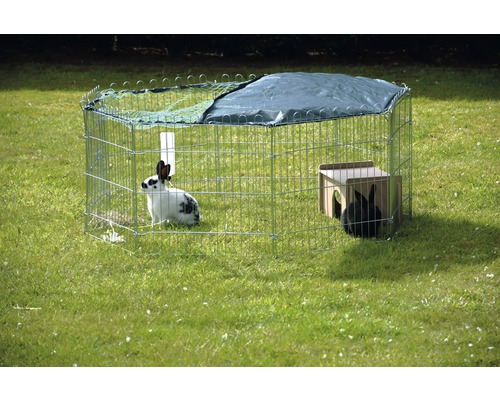 Enclos extérieur avec lapins, cabane, abreuvoir et couverture dans le jardin