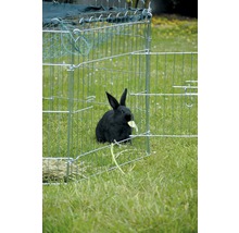Lapin noir dans un enclos pour petits animaux sur l''herbe