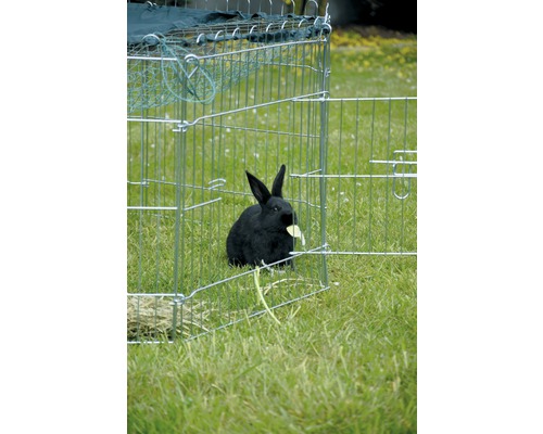 Lapin noir dans un enclos pour petits animaux sur l''herbe