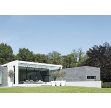 Maison moderne avec façade en verre, terrasse et oliviers en pots
