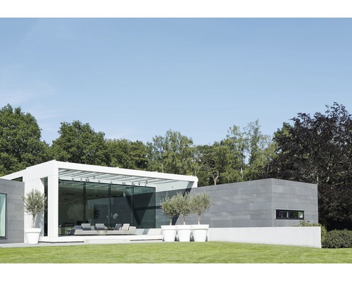 Maison moderne avec façade en verre, terrasse et oliviers en pots