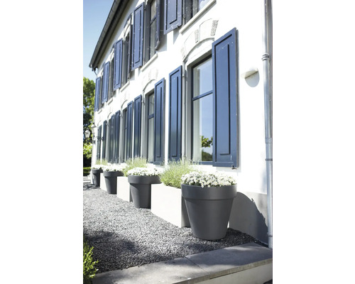 Hausfassade mit Fensterläden und bepflanzten Blumentöpfen