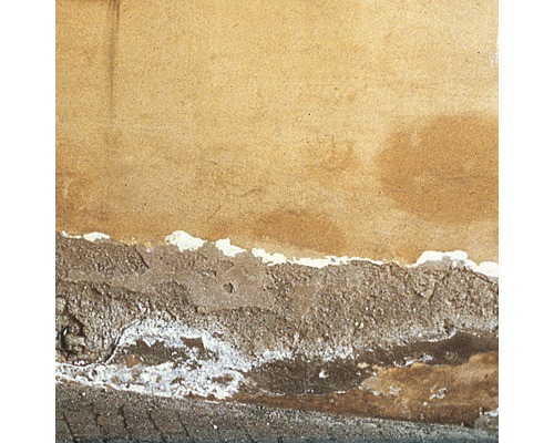 Beschädigte Wand mit Feuchtigkeitsschäden und abblätternder Farbe