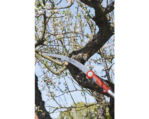 Scie à branches coupant une branche d''arbre