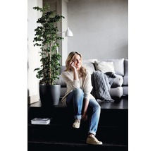 Übertopf elho Brussels Kunststoff Ø 47 H 43 cm anthrazit inkl. Rollen