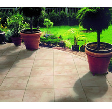 Scène de jardin avec sol carrelé et pots de fleurs