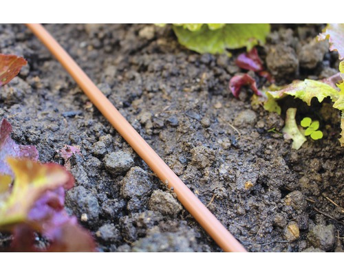 Tuyau avec goutteur intégré Vitavia DP30 longueur du tuyau 30 m Tuyau d''irrigation dans un parterre de jardin