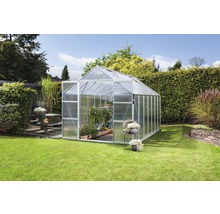 Serre avec plantes dans le jardin