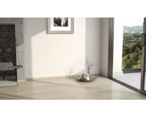 Pièce lumineuse avec parquet, cheminée et porte-fenêtre