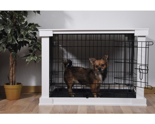Chien dans une niche pour chien avec porte grillagée et cadre blanc