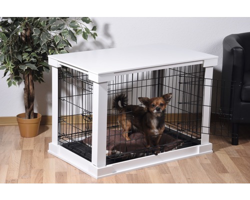 Chien dans une cage pour chien blanche avec porte grillagée