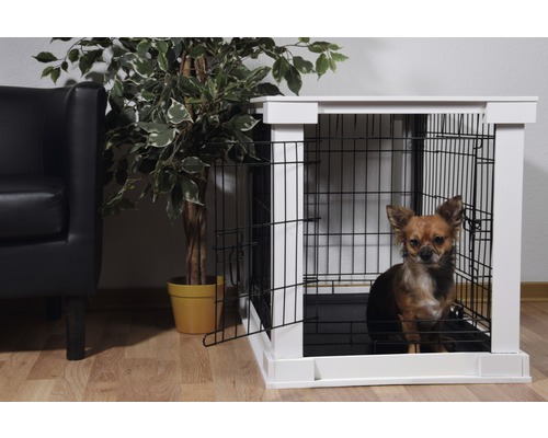 Chien dans une cage pour chien avec porte grillagée et cadre blanc à côté d''un fauteuil et d''une plante d''intérieur