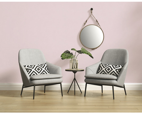 Salon avec deux fauteuils gris, coussins, table d''appoint avec plante et miroir rond au mur