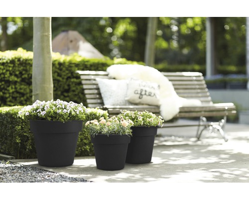Drei Pflanzgefäße mit Blumen im Garten, im Hintergrund eine Bank