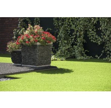 Espace jardin avec gazon synthétique, bacs à fleurs en pierre et lierre