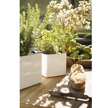 Pot de fleurs Lechuza Cube Glossy plastique 14x14x14 cm blanc avec système d’arrosage de la terre et bac d’arrosage-thumb-1