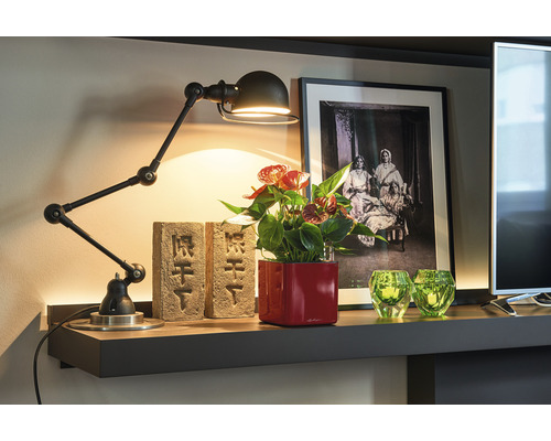 Dekoratives Regal mit Schwenkarmleuchte, Anthurienpflanze, Backsteinen und Dekoration