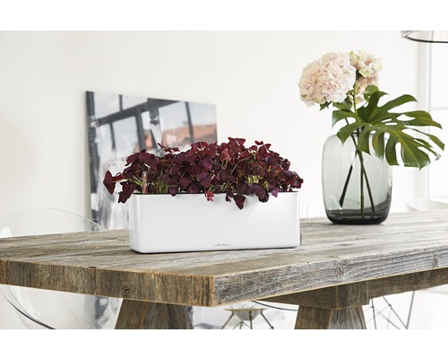 Dekorative Tischszene mit einer weißen Pflanzbox und einer Vase mit Blumen auf einem Holztisch