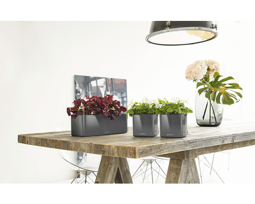 Zwei groe Pflanzgefäße an een länglecht Pflanzgefäß op engem HolzDësch mat Planzen