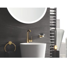 Lavabo de salle de bain avec robinet, porte-savon, anneau porte-serviettes et miroir