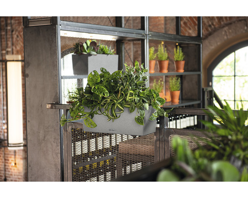 Szene mit bepflanzten grauen Pflanzkästen auf einem Metallregal.