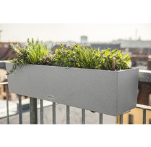Jardinière Lechuza Balconera Stone plastique 80x19x19 cm gris avec système d'arrosage de la terre et bac d'arrosage