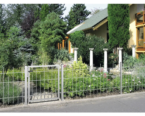 Clôture métallique avec portail devant un jardin de maison