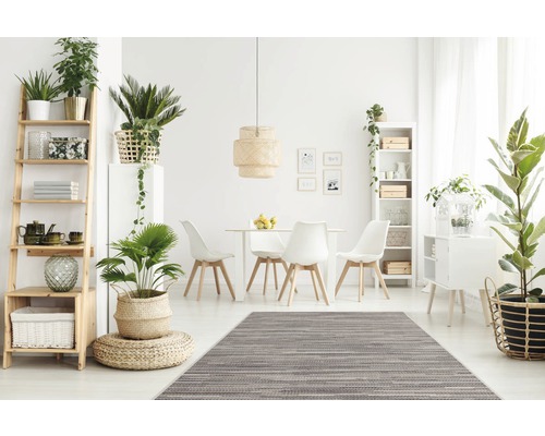 Heller Wohnraum mit Esstisch, Stühlen, Regalen und Zimmerpflanzen