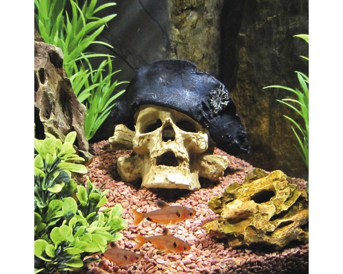 Aquariumdekoration mit Totenkopf und Fischen