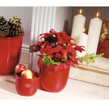 Pot de fleurs Soendgen Bruxelles Céramique Ø 15 H 14 cm bordeaux