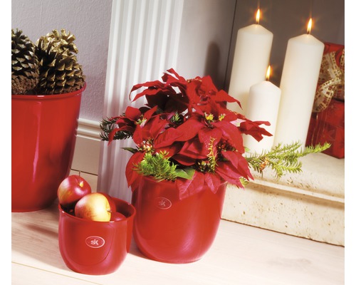 Décoration de Noël avec des cache-pots rouges, une étoile de Noël, des pommes et des bougies